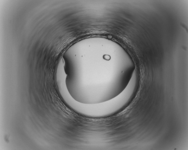 X0000099581257200806131310