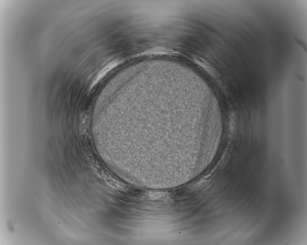 X0000099581258200806131310