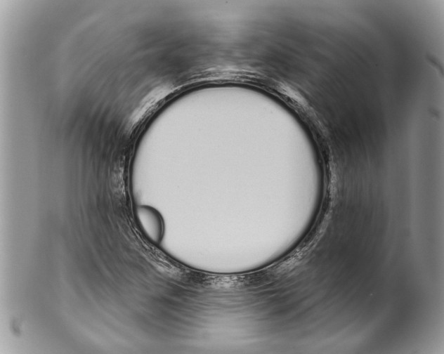 X0000099581259200806131310