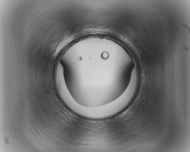 X0000099581261200806131310