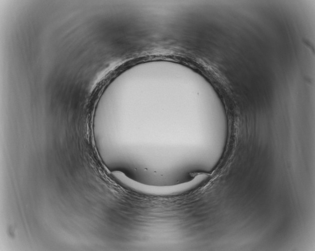 X0000099581262200806131310