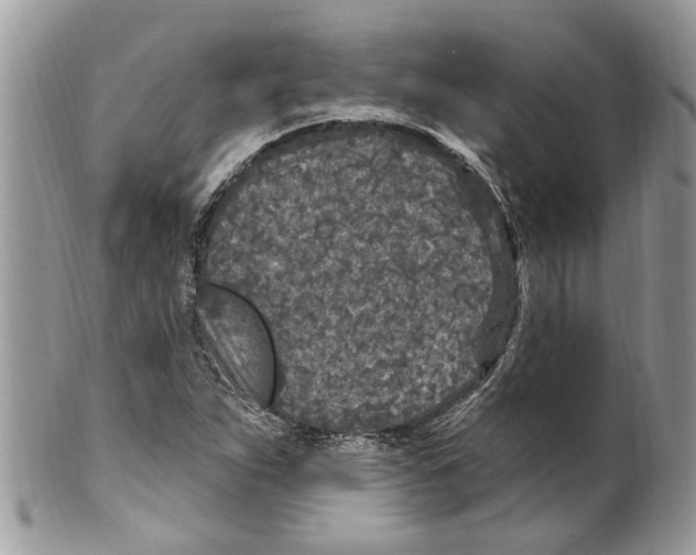 X0000099581263200806131310