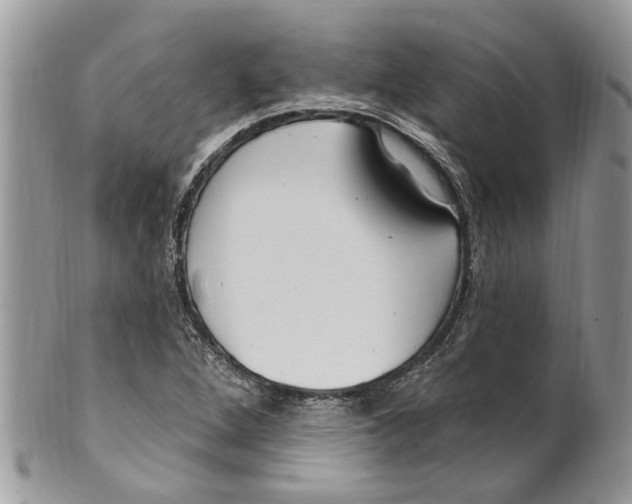 X0000099581264200806131310