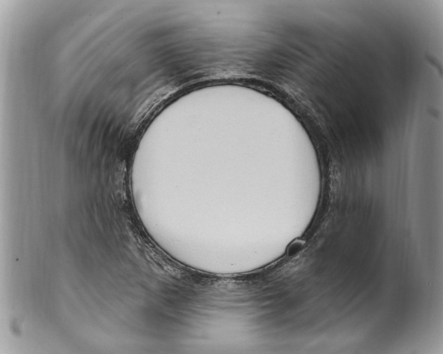 X0000099581265200806131310