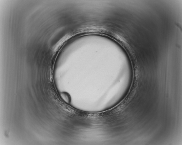 X0000099581267200806131310