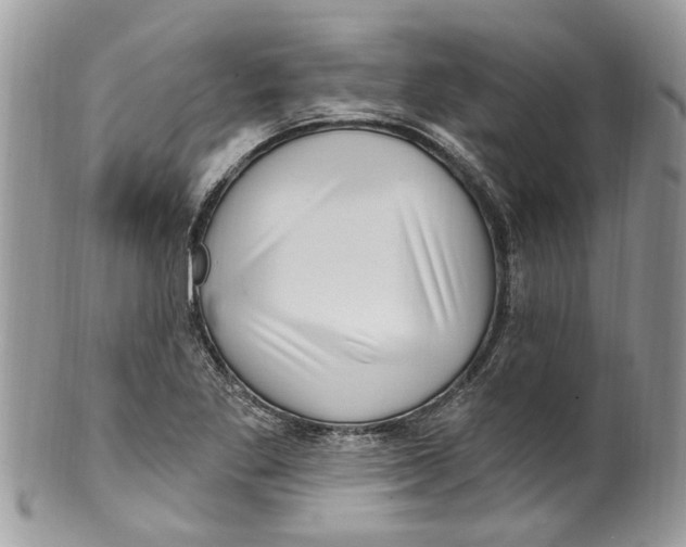 X0000099581269200806131310