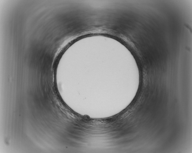 X0000099581270200806131310