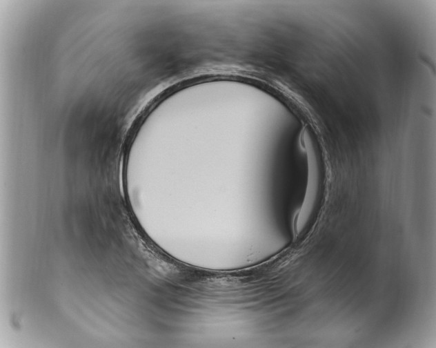 X0000099581272200806131310