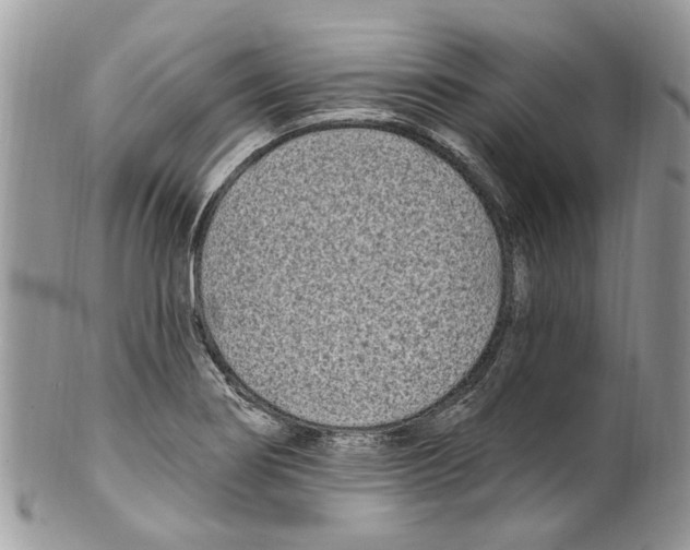 X0000099581274200806131310