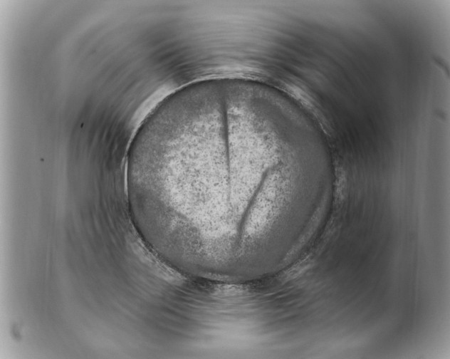 X0000099581275200806131310