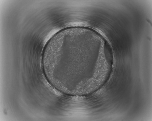 X0000099581277200806131310