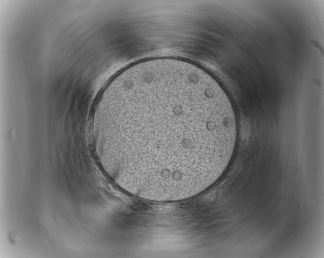 X0000099581278200806131310