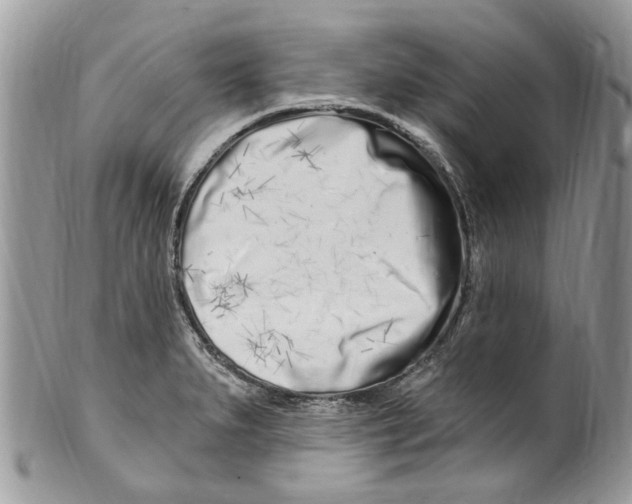 X0000099581279200806131310