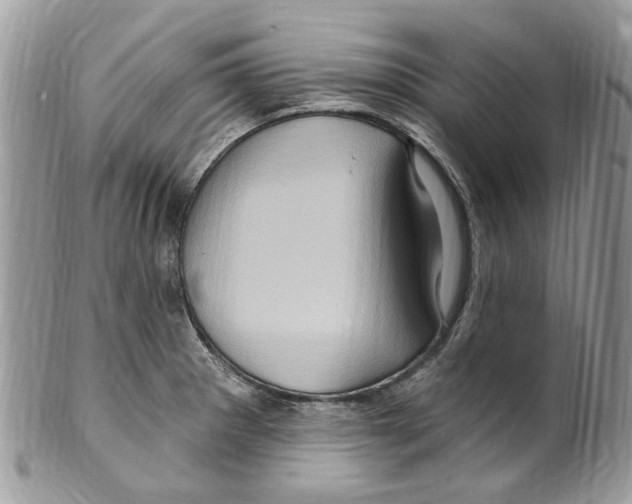 X0000099581281200806131310