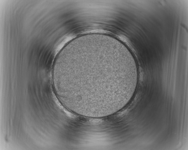 X0000099581282200806131310