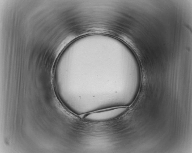 X0000099581283200806131310