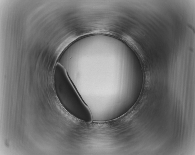 X0000099581284200806131310