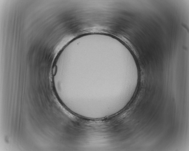 X0000099581285200806131310