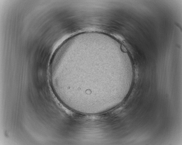 X0000099581286200806131310