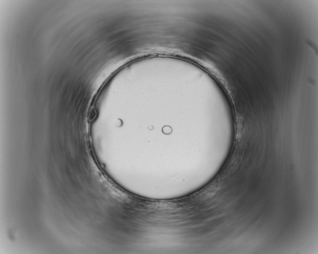 X0000099581287200806131310