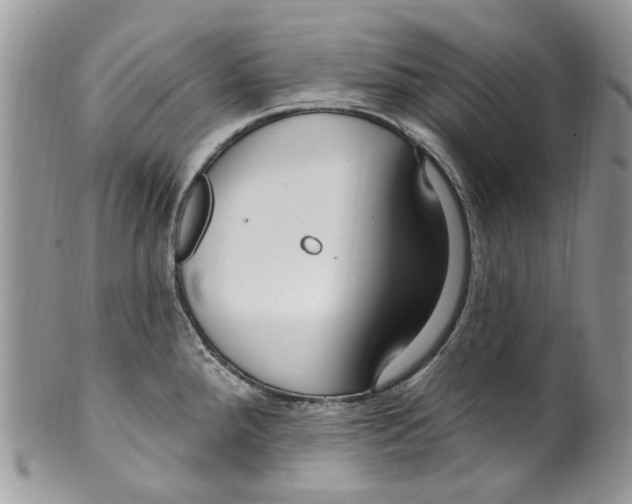 X0000099581288200806131310