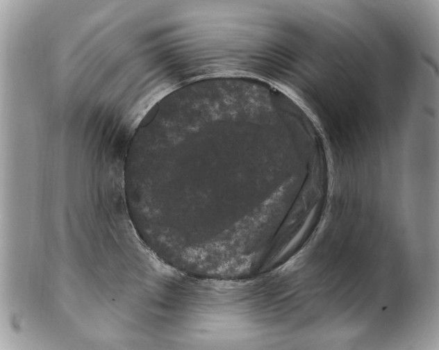 X0000099581289200806131310