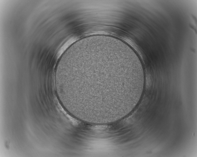 X0000099581290200806131310