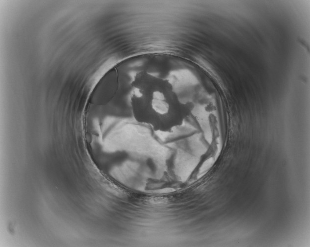 X0000099581291200806131310