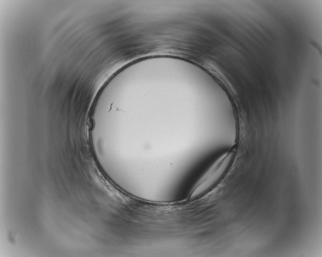 X0000099581292200806131310