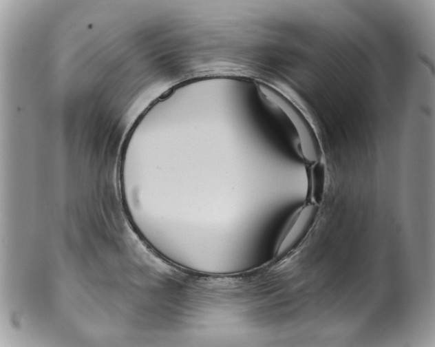 X0000099581293200806131310