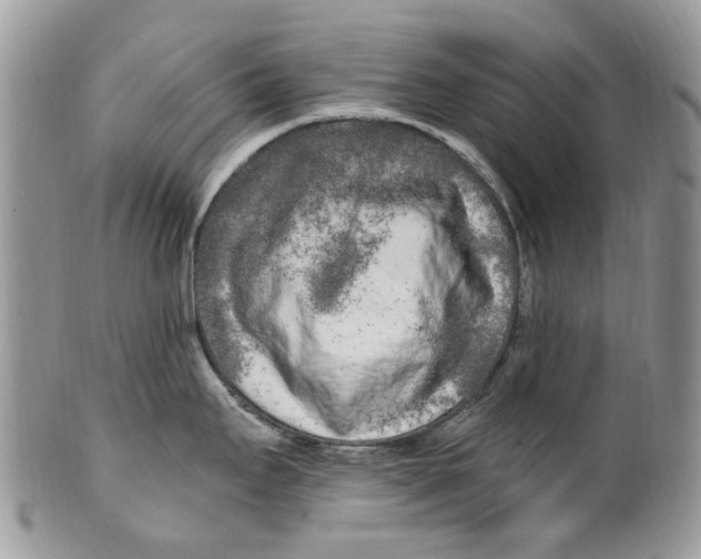 X0000099581295200806131310