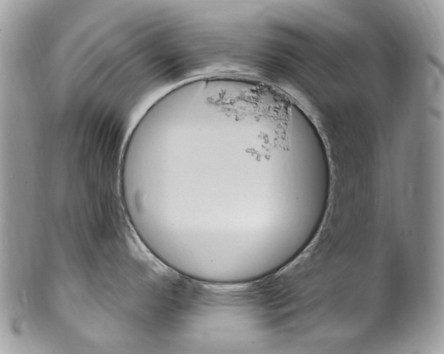 X0000099581296200806131310