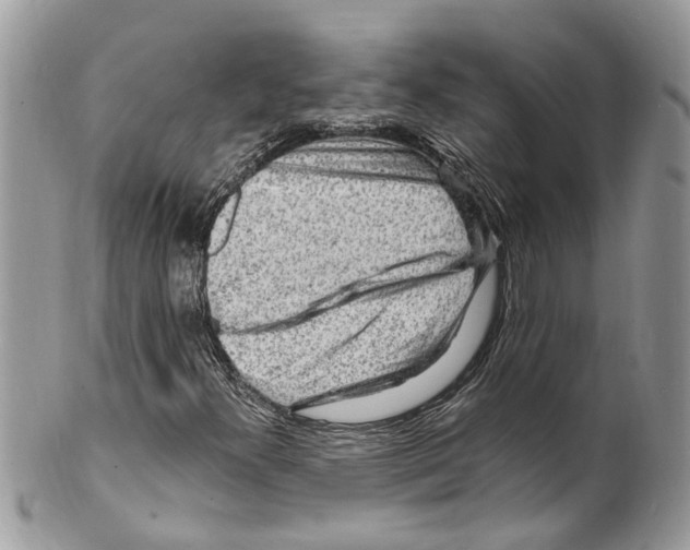 X0000099581300200806131309