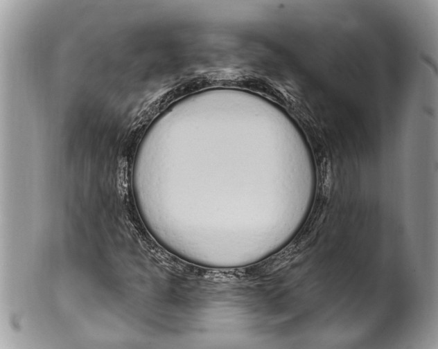 X0000099581301200806131309