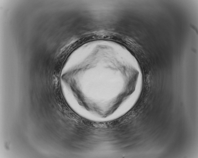 X0000099581302200806131309