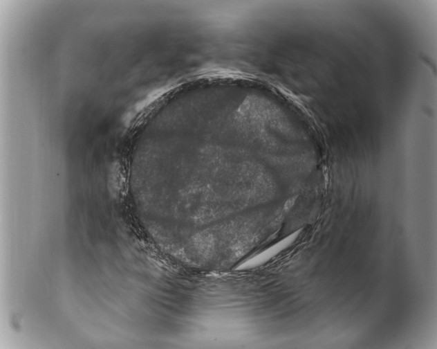 X0000099581303200806131309