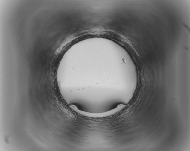 X0000099581304200806131309