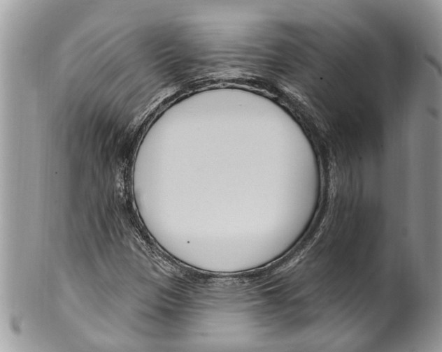 X0000099581305200806131309