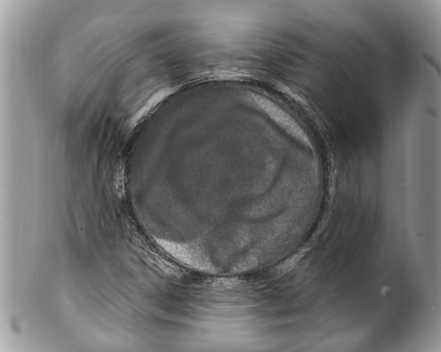 X0000099581306200806131309