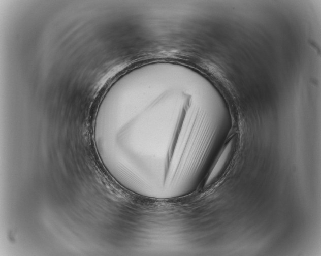 X0000099581308200806131309