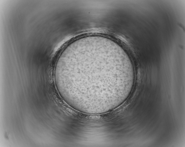 X0000099581310200806131309