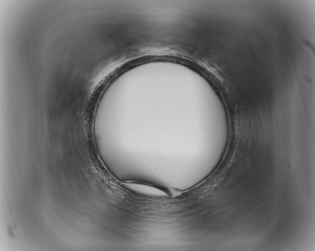 X0000099581311200806131309