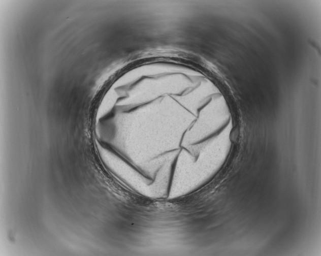 X0000099581312200806131309