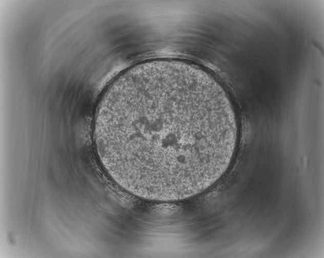 X0000099581314200806131309