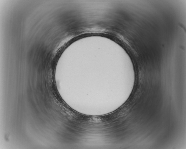 X0000099581315200806131309