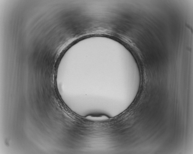 X0000099581316200806131309