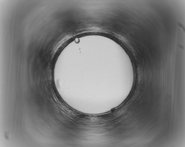 X0000099581318200806131309