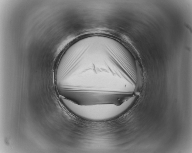 X0000099581320200806131309