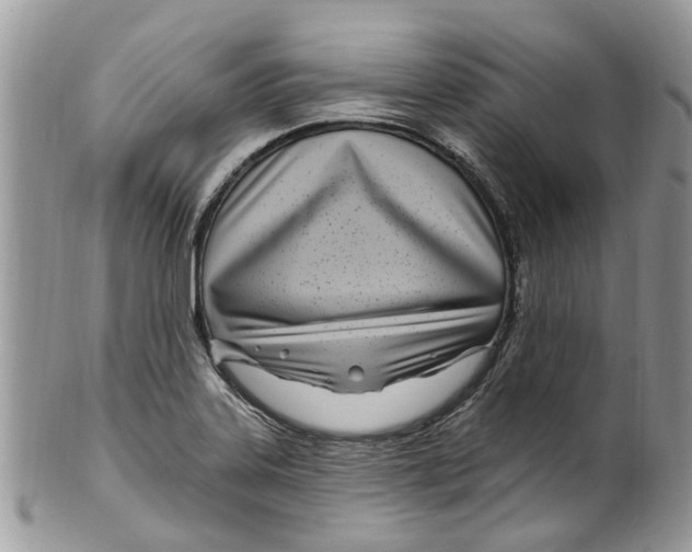 X0000099581323200806131309