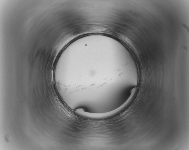 X0000099581324200806131309